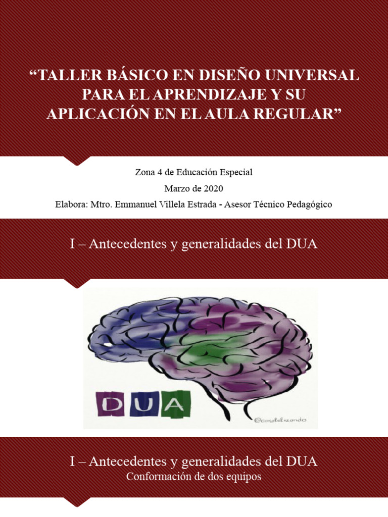 Taller DUA Primaria | PDF | Aprendizaje | Plan de estudios