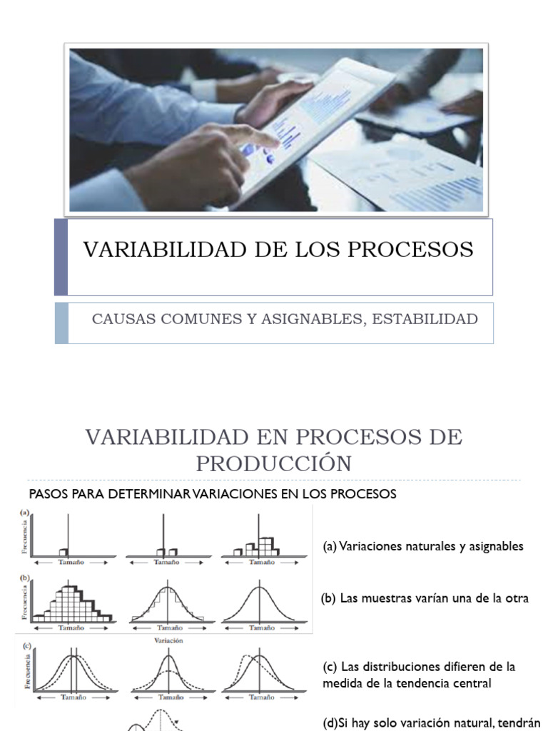 Causas de Variabilidad en Procesos | PDF