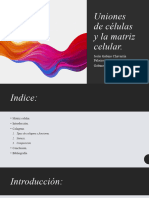 Uniones de Células y La Matriz Celular