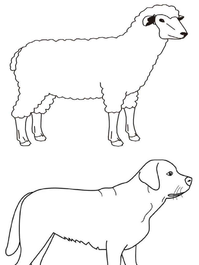 Animales Viviparos | PDF
