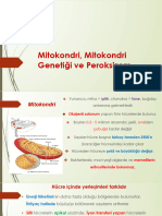 D1K2 5 Mitokondri, Mitokondri Genetiği Ve Peroksizom