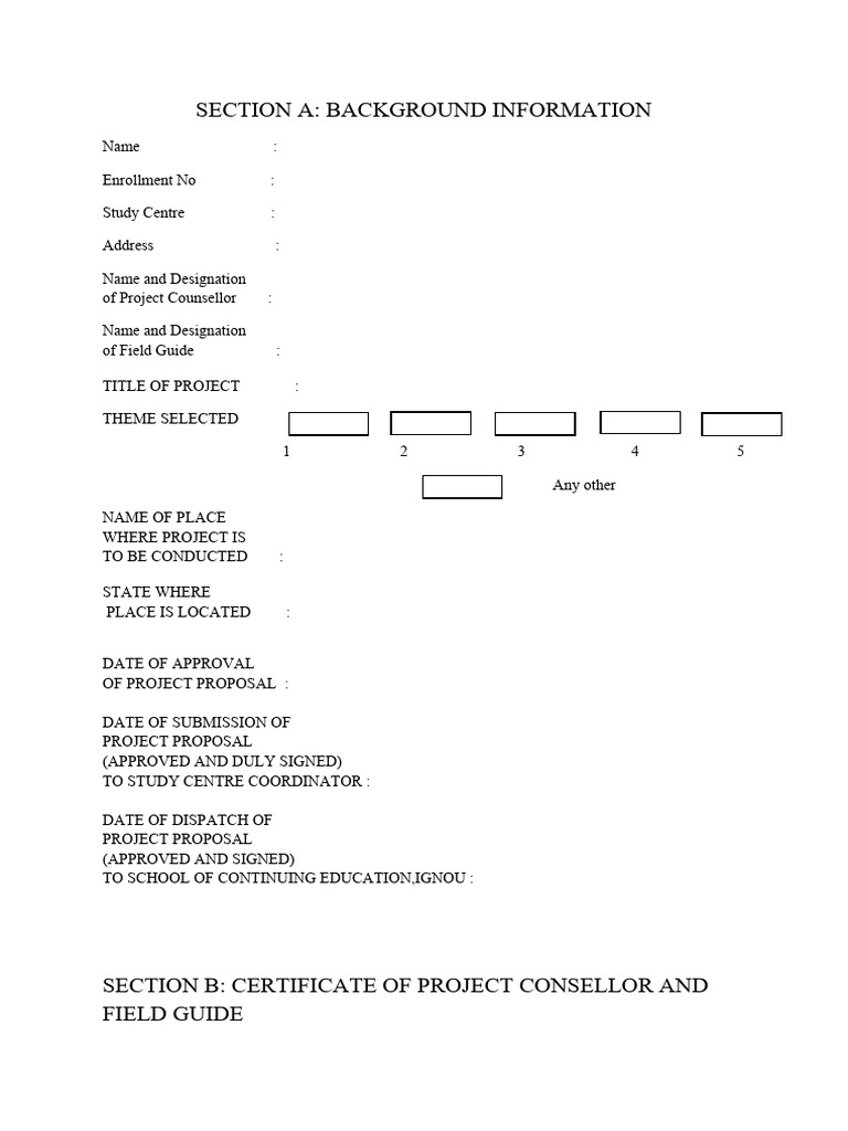 Project Proposal Submission Template | PDF
