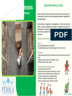 ALERTA DE SEGURANÇA - TRANSPORTE MANUAL DE CARGA - ERGONOMIA...pdf