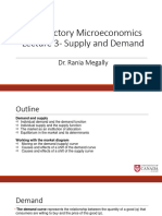 Lecture 3 Microeconomics