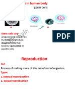 Reproduction pdf