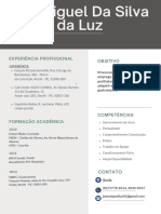 Currículo - João Miguel (Foto) PDF