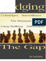 45 Bridging The Gap Cointelpro Surveillance Gang Stalking Informants