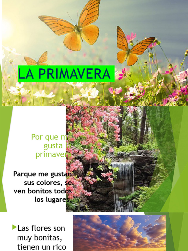 Colores y Flores de Primavera | PDF
