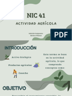 Presentación NIC 41 (Bienes Agrícolas)