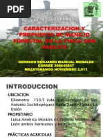 Caracterizacion y Propuesta de Manejo Forestal en La