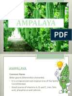 AMPALAYA