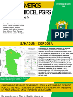 Parametros Seguimiento Del Pgirs