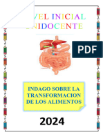 14 Mayo Inicial Unidocente 2024