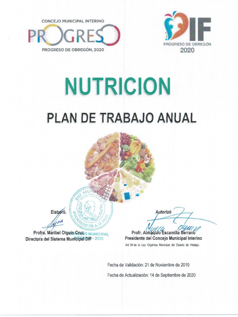 Plan de Trabajo Nutricion 2023 | PDF