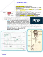 Tema 6 Renal 1