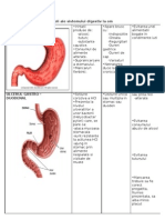 Boli-Sistem Digestiv