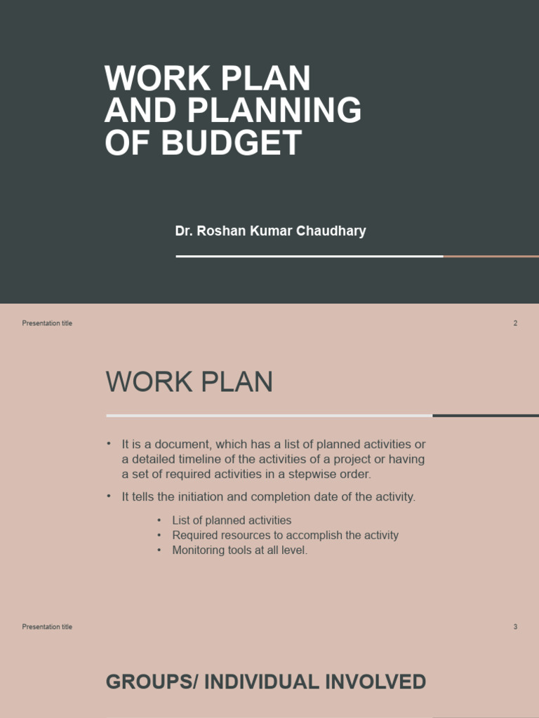 Work Plan and Budgeting Guide | PDF | Business | Economies
