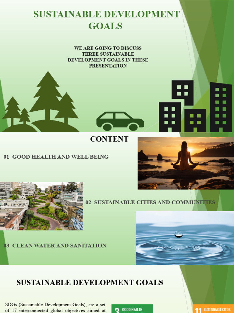 Evs Presentation Final Download Free Pdf Wash Sanitation