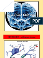 Sistema Nervoso Central Denise