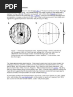 Download Viking Shields by Michalina Gackowska SN73039569 doc pdf