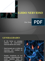 Tejido Nervioso - Histología II