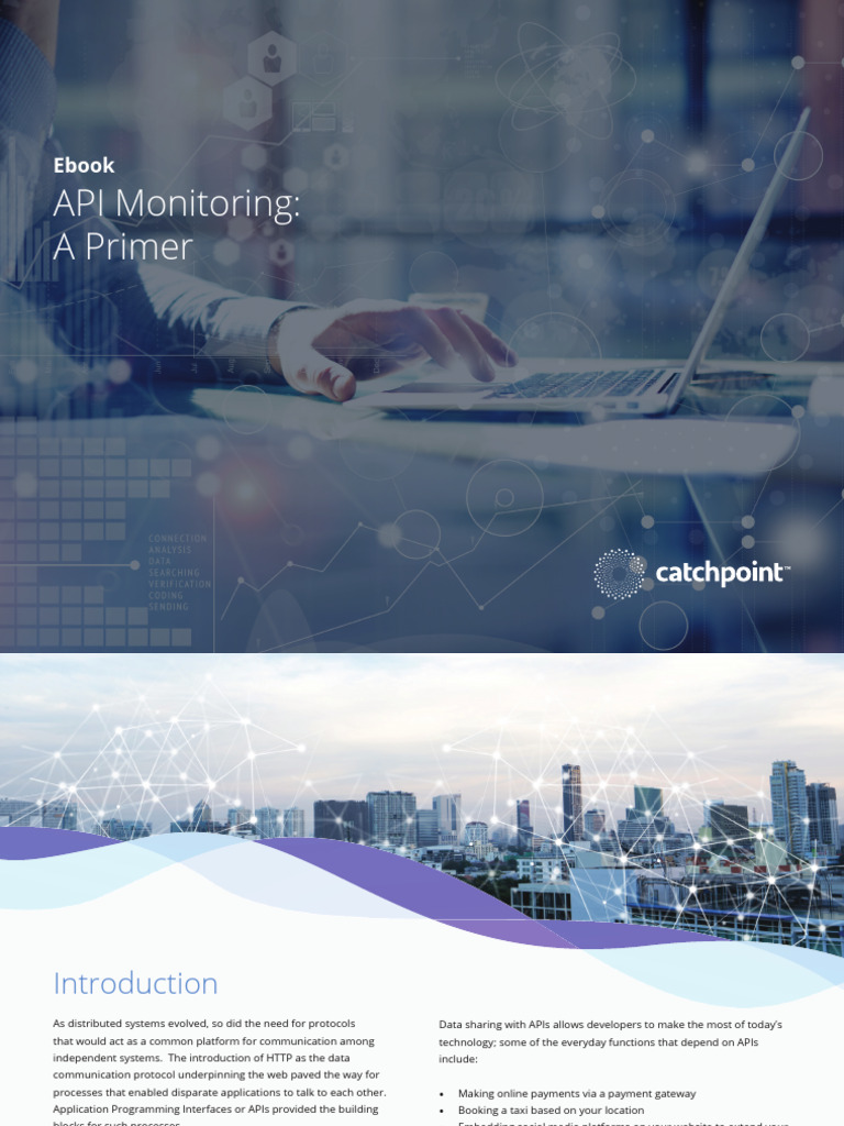 API Monitoring: A Comprehensive Primer | PDF | Soap | Web Service