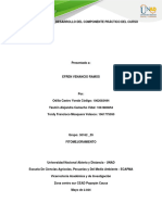 ODILIA CASTRO YONDA - 1062083494 - Guía Única para El Desarrollo Del Componente Práctico Del Curso de Fitomejoramiento - 30162 - 55 - 6 de Mayo de 2024