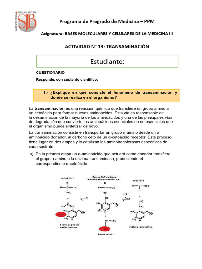 Transaminación: Función y Análisis Clínico | PDF | Transaminasa ...