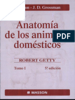 Anatomia de Los Animales Domésticos Tomo I S. Sisson