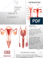 MALE-AND-FEMALE-REPRODUCTIVE-SySTEM