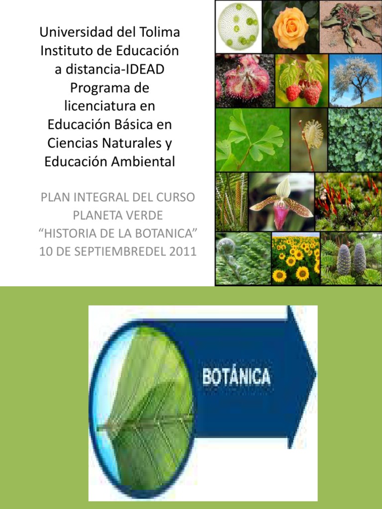 Presentacion Historia De La Botanica 16 Oct Pdf Botánica Plantas