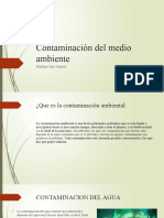 Contaminación Del Medio Ambiente 2