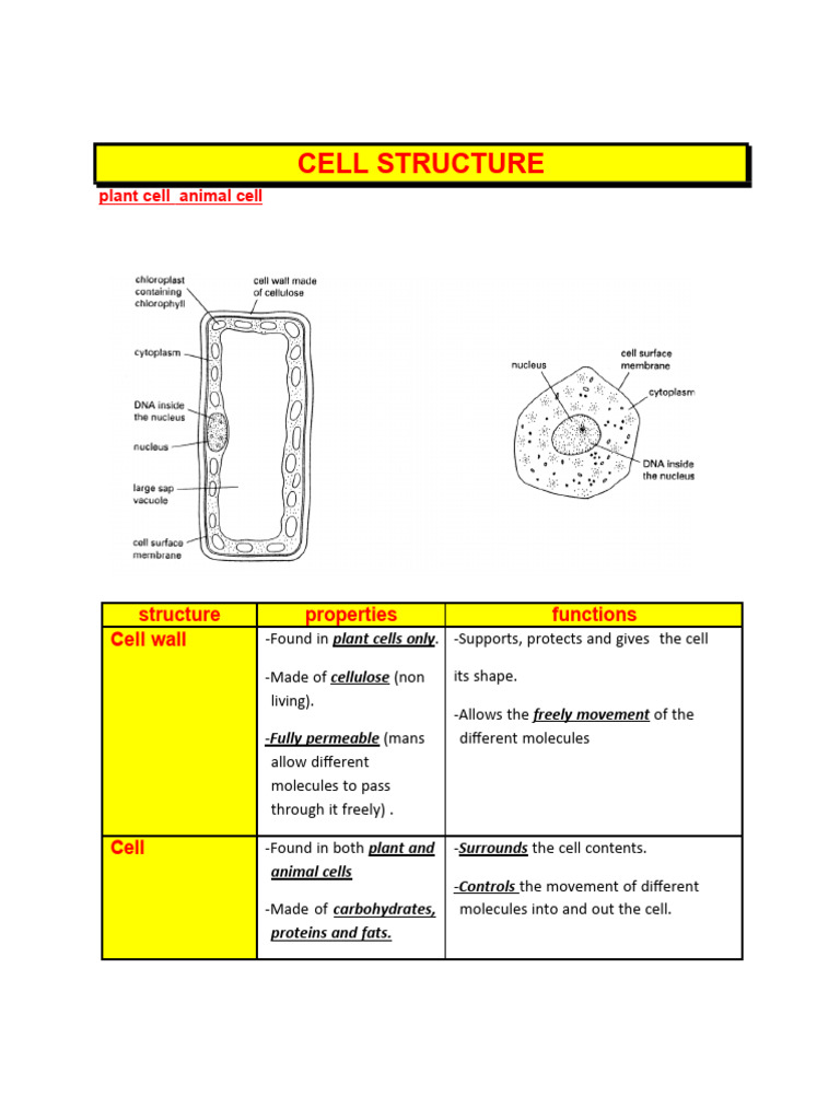 CELL | PDF | Diffusion | Osmosis
