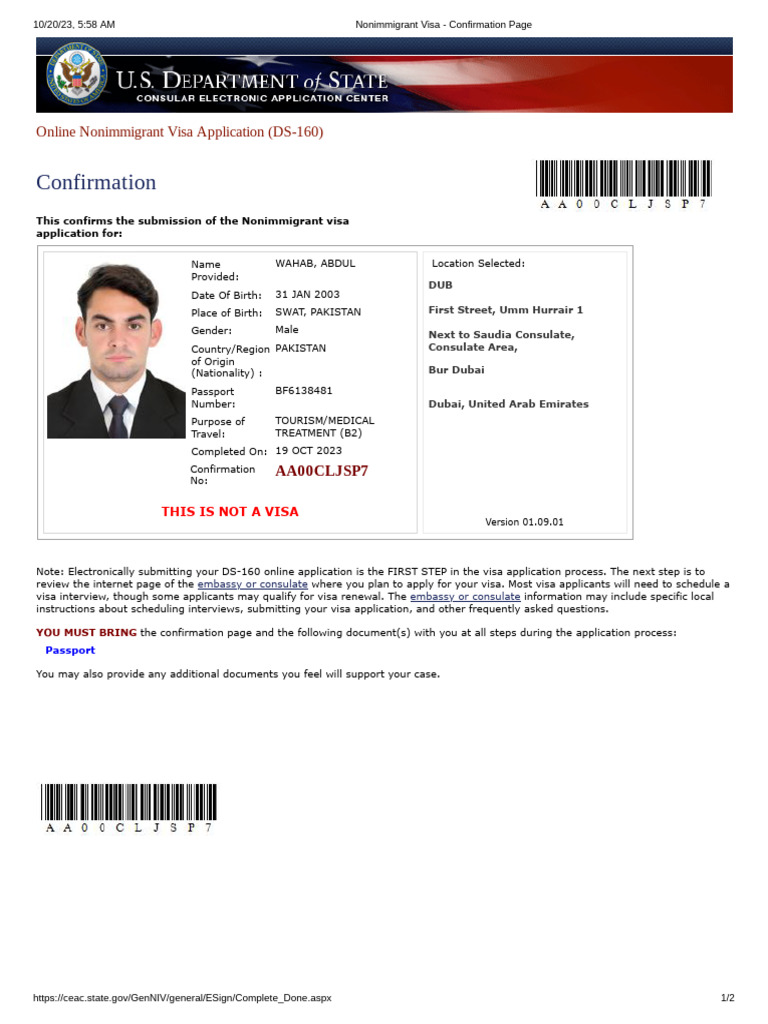 Nonimmigrant Visa Application Confirmation | PDF | Travel Visa ...