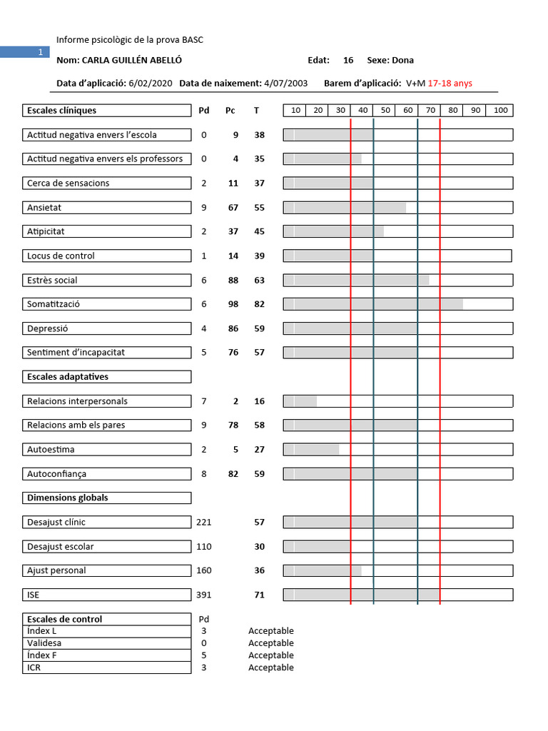 Basc s 3 model informe carla guill n pdf