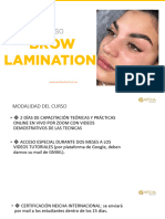 Apunte Teorico Brow Lamination