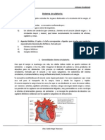 Sistema_circulatorio