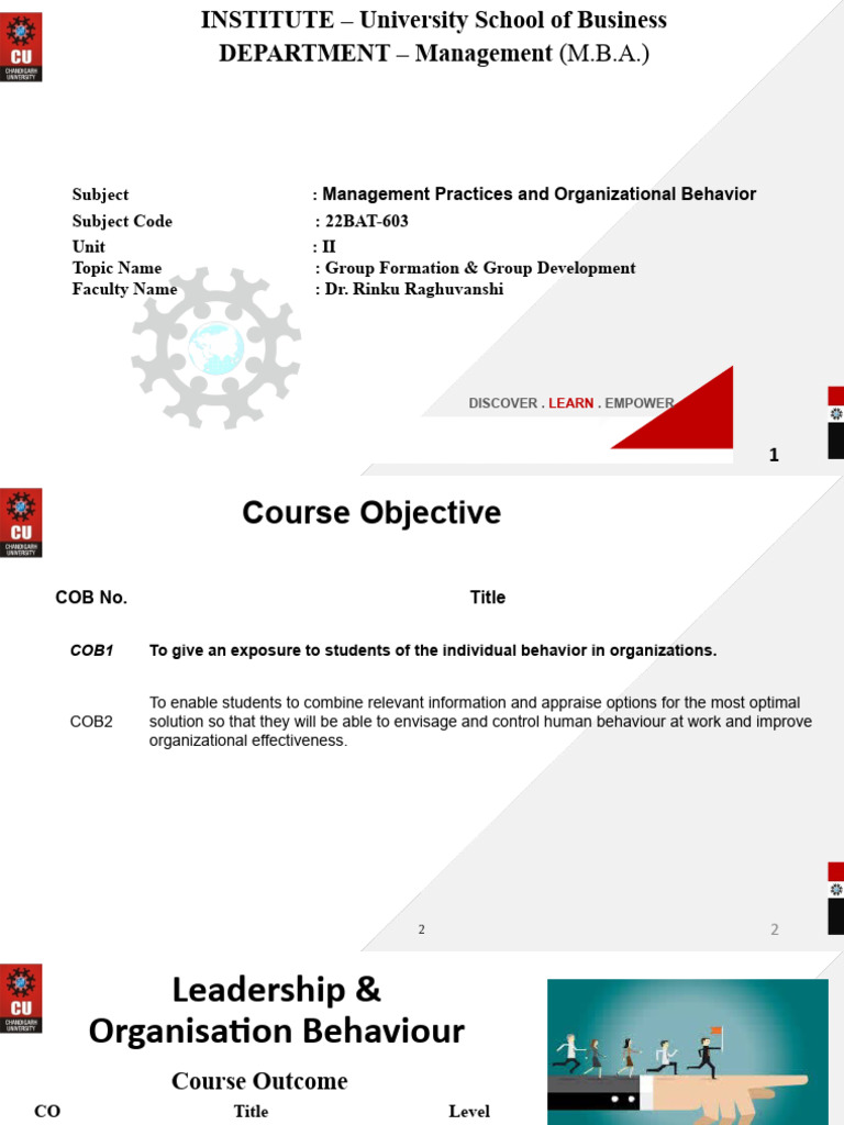 MBA Group Dynamics Guide | PDF | Organizational Behavior | Social ...