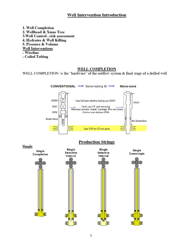 Well Intervention Fluids Overview | PDF | Pressure | Chemical Engineering