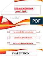 Le-systeme-nerveux-Cours-PPT-11