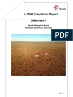 OzGamma 1 Basic Well Completion Report