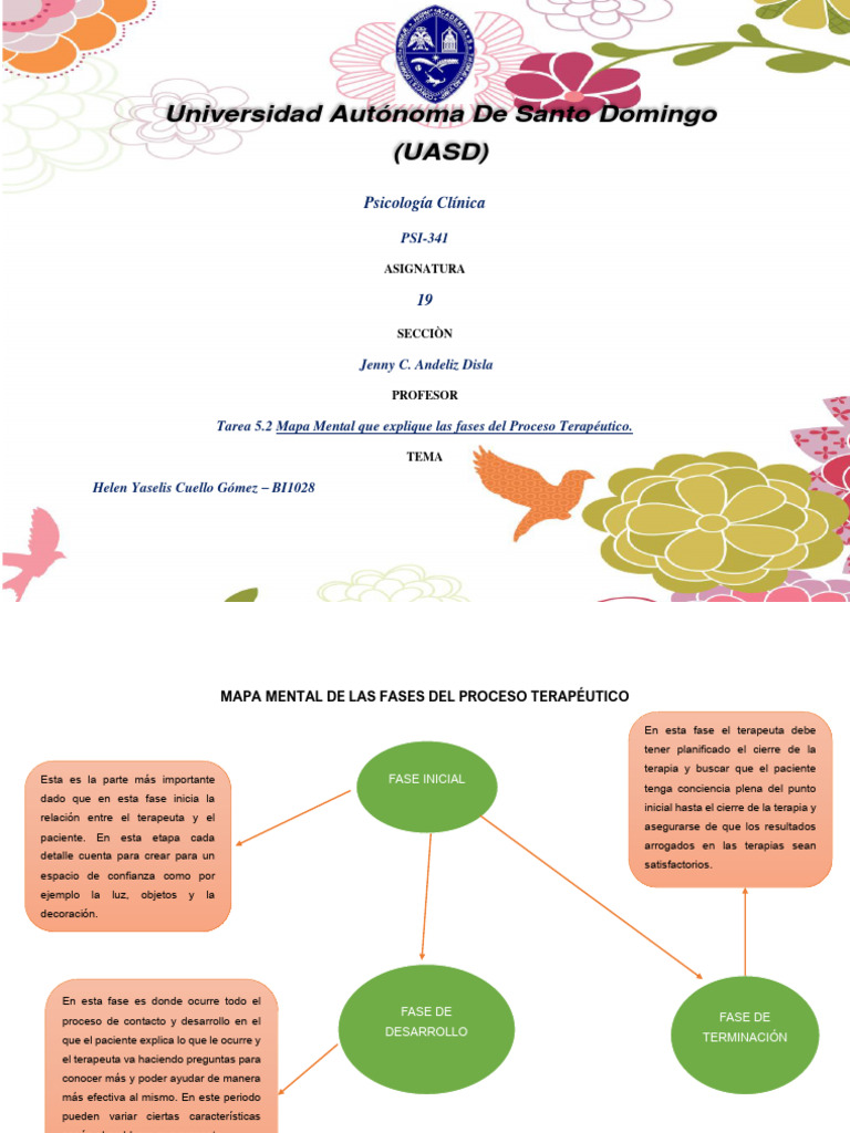 Mapa Mental del Proceso Terapéutico | PDF | Cuidado de la salud ...