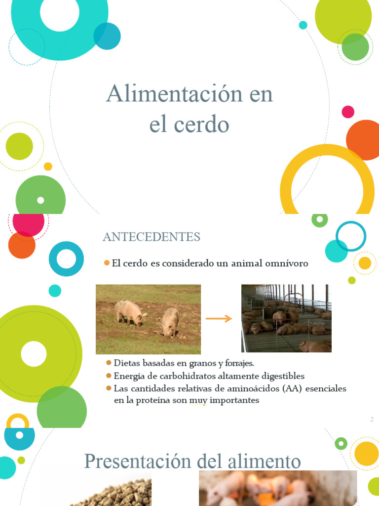 Nutrición y Alimentación del Cerdo | PDF | Alimentos | Nutrición