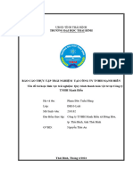 Báo cáo TTTN - Phạm Đức Tuấn Hùng 2100182