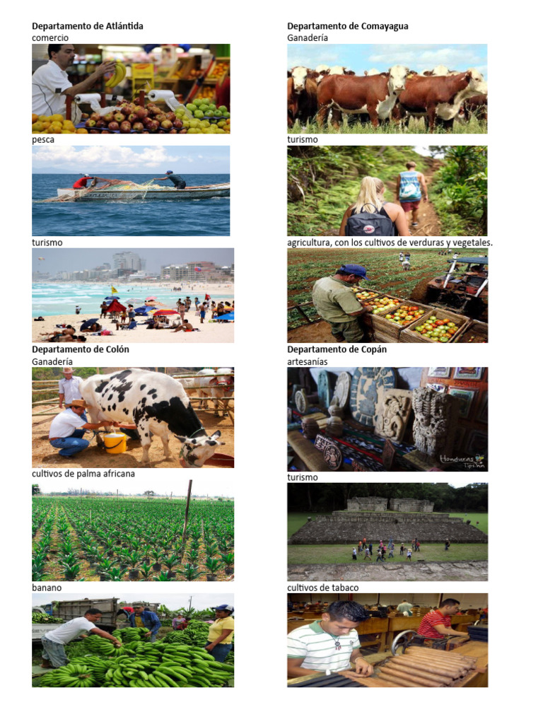 Actividades Económicas por Departamento en Honduras | PDF | Agricultura ...