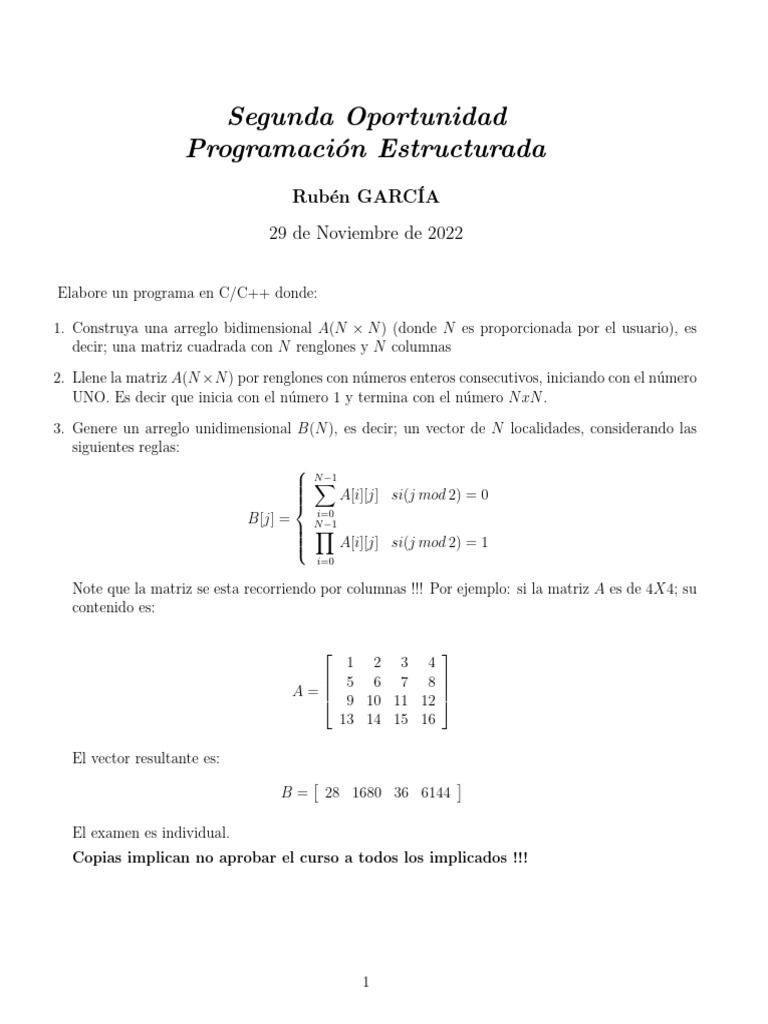 Programa en C/C++ para Matriz y Vector | PDF