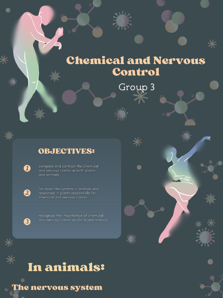Chemical and Nervous Control Systems | PDF | Nervous System | Plant Hormone
