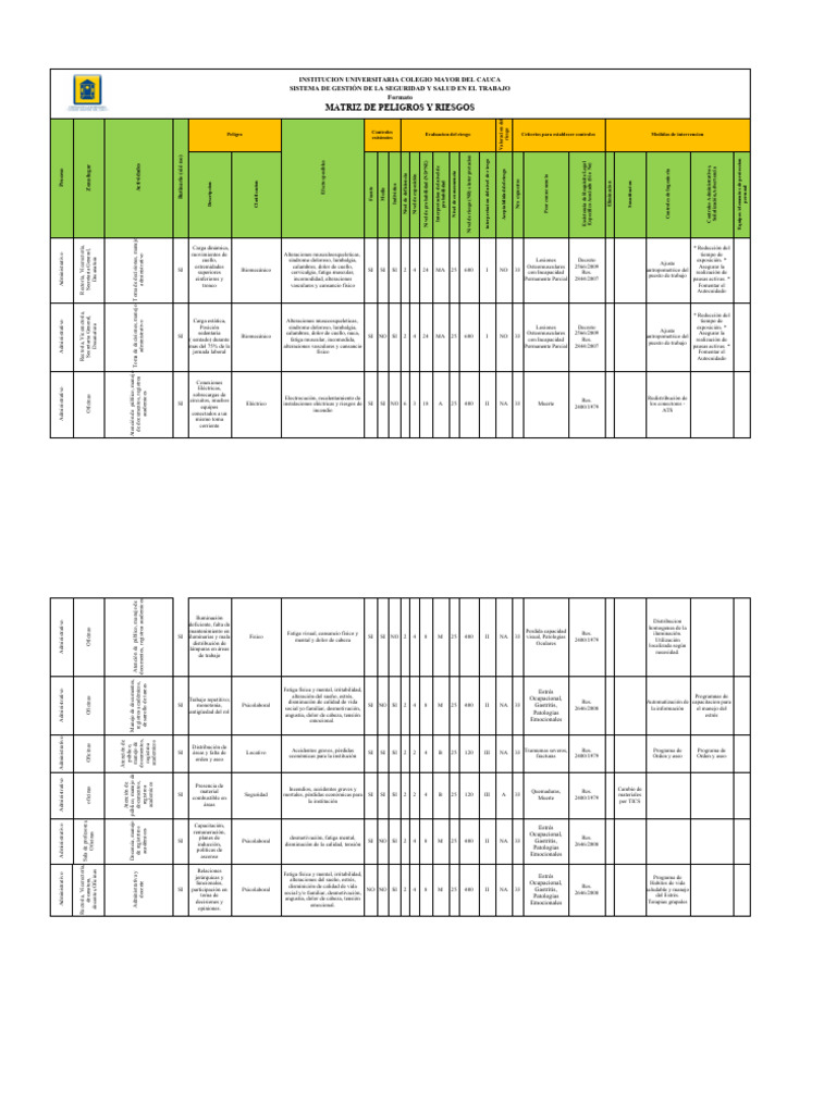 Matriz de Riesgos en Salud Laboral | PDF | Enfermedades y trastornos ...