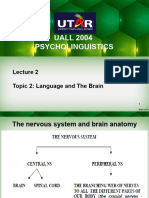 Topic 2a - Language and The Brain