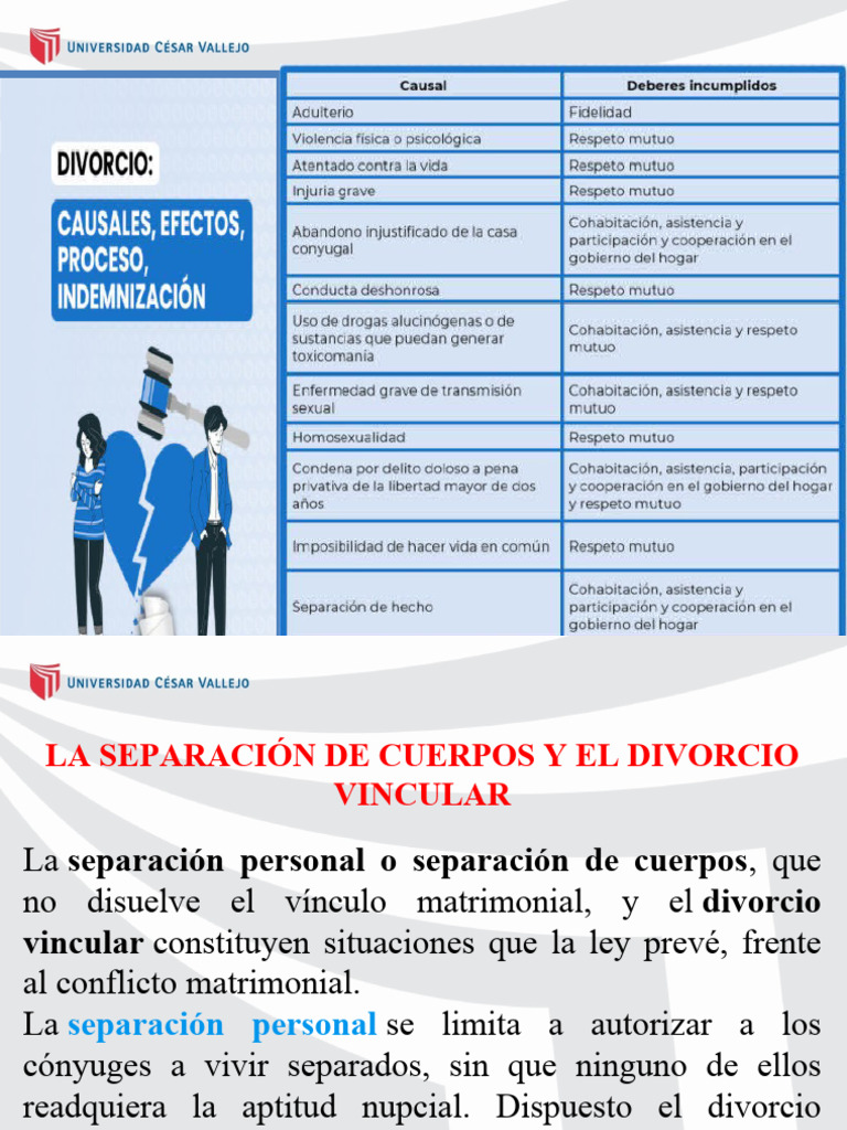 Injuria grave y su impacto en divorcios | PDF | Divorcio | Matrimonio